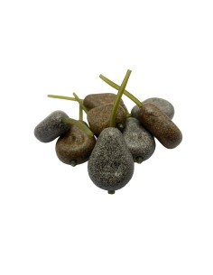 Piombo Ticinum Pera In-Line
